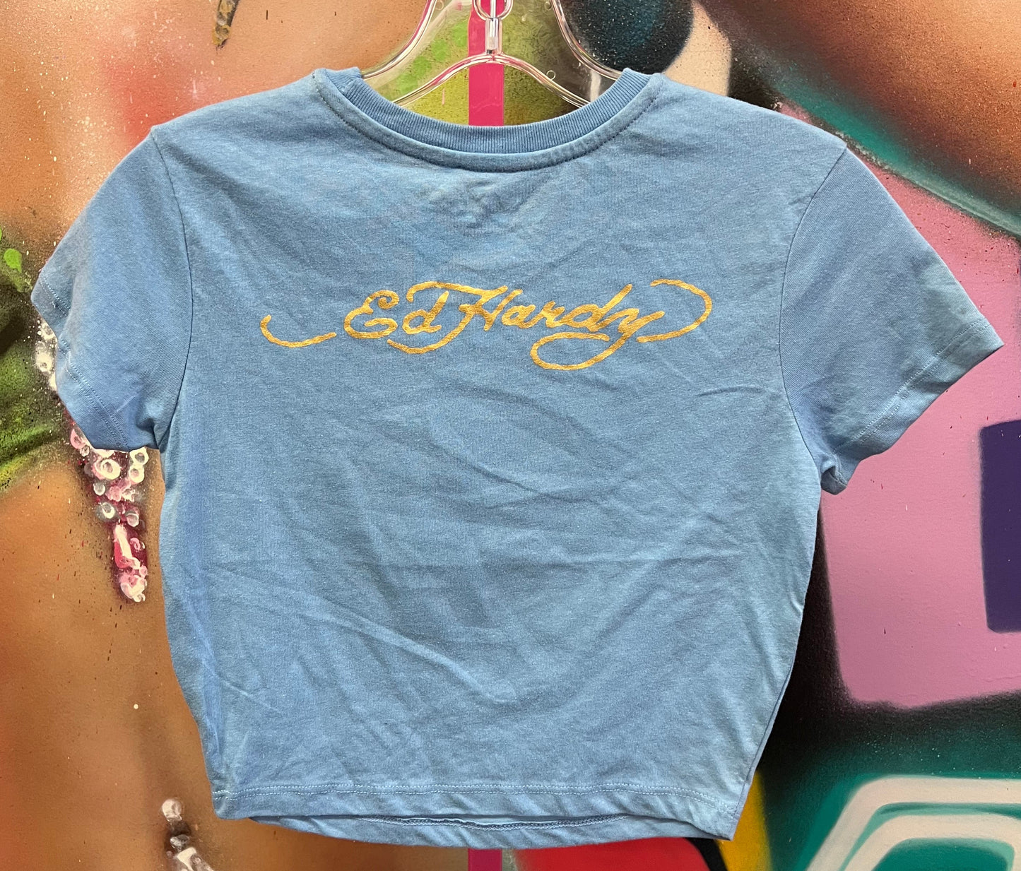 Ed Hardy Skunk Skunk Baby Tee Blue Size S